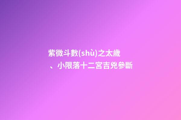 紫微斗數(shù)之太歲、小限落十二宮吉兇參斷
